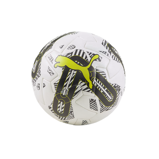 Puma Orbita 1 TB FQP Soccer Ball